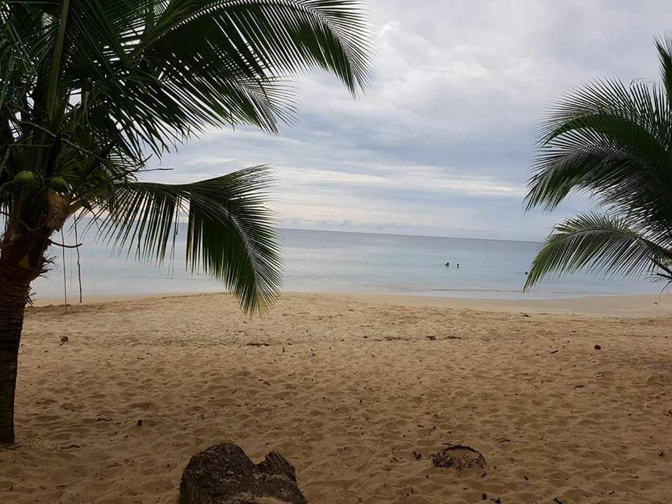 Cabinas Hukats Secret Jungle Puerto Viejo de Talamanca Exteriör bild